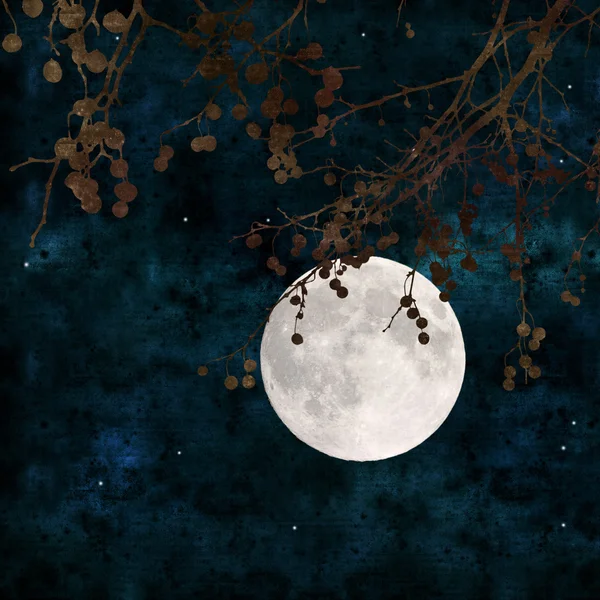 Full moon collage Stock Photo by ©Tamara_k 27268835