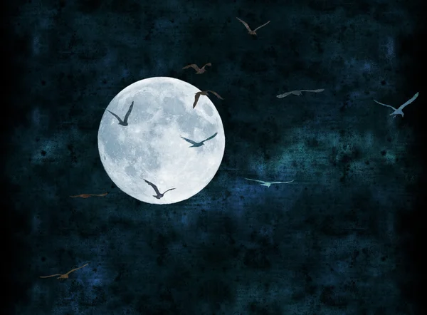 Collage de luna llena — Foto de Stock