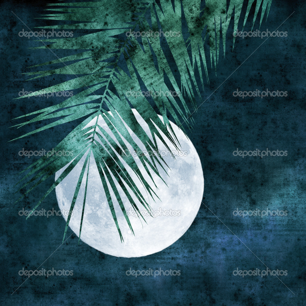 Full moon collage — Stock Photo © Tamara_k 27269105