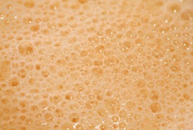 Bira Köpüğü
