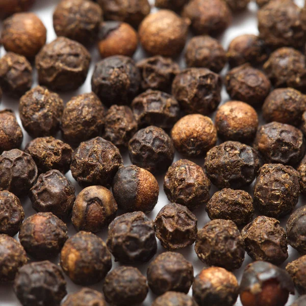 Black pepper — Stock Photo, Image