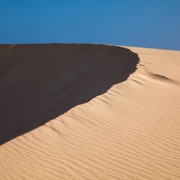 Barkhan dune, evening light — Stock Photo, Image