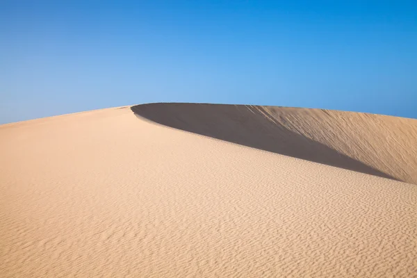 Barkhan dune, akşam ışığı — Stok fotoğraf