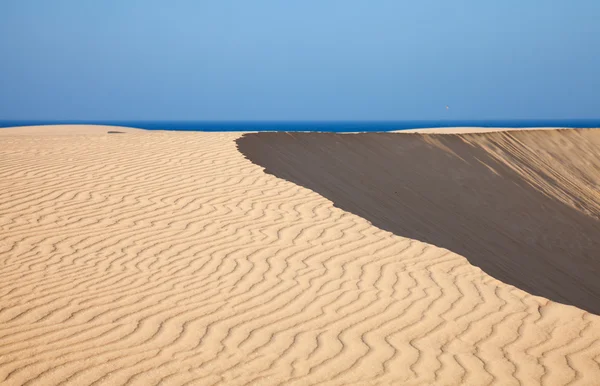 Barkhan dune, evening light — Stock Photo, Image
