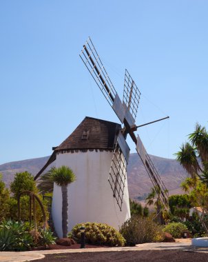 Merkez fuerteventura, yel değirmeni