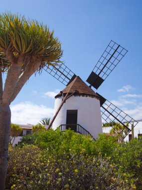 Merkez fuerteventura, yel değirmeni