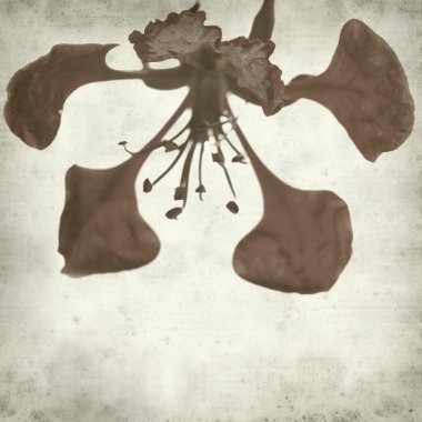 desenli eski kağıt arkaplan