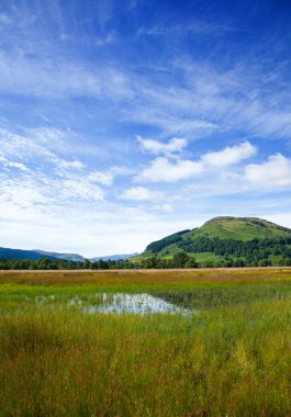 Marsh loch tay çevresinde