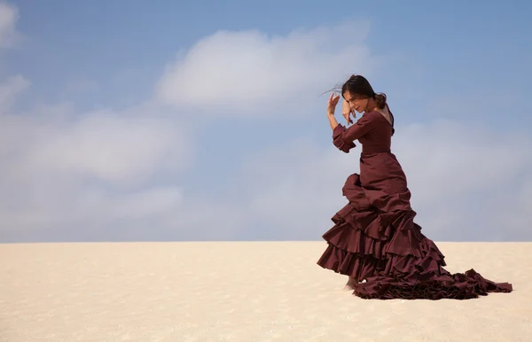 Flamenco w wydmy — Zdjęcie stockowe