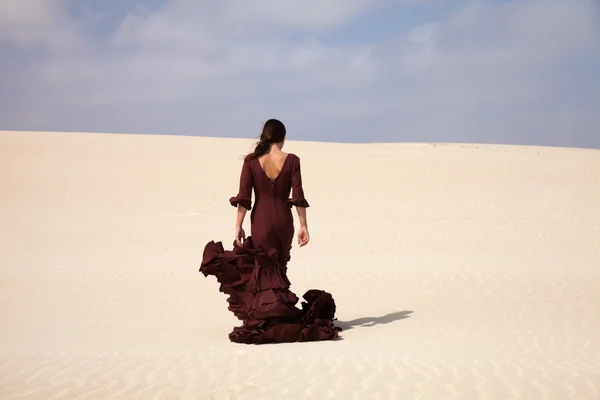 Flamenco in de duinen — Stockfoto