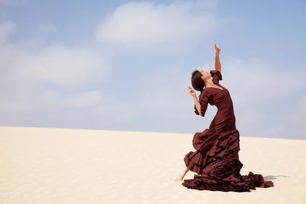Фламенко в дюнах — стоковое фото