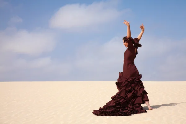 Flamenco nas dunas — Fotografia de Stock