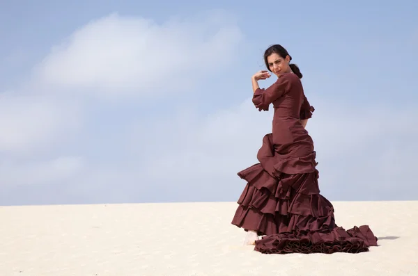 Flamenco i sanddynerna — Stockfoto