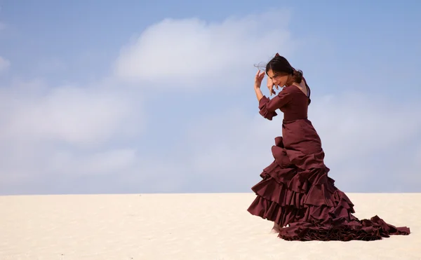Flamenco tra le dune — Foto Stock
