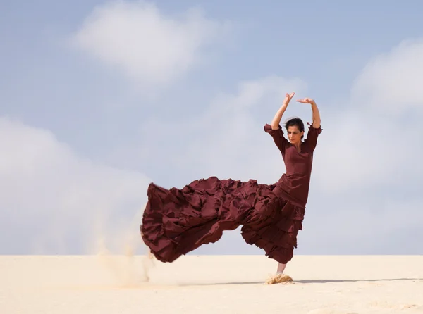 Flamenco i sanddynerna — Stockfoto