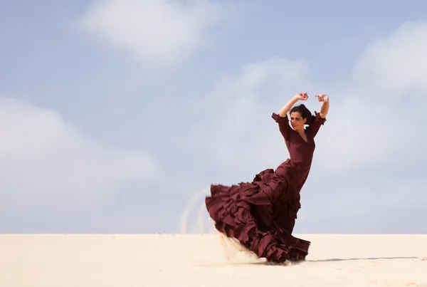 Flamenco i sanddynerna — Stockfoto