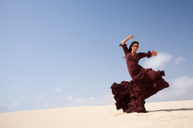 Flamenko dunes içinde