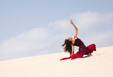 Flamenko dunes içinde