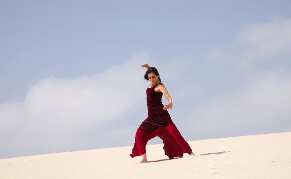 Flamenco i sanddynerna — Stockfoto