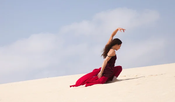 Flamenco dans les dunes — Photo