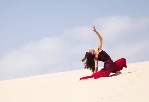 Flamenko dunes içinde — Stok fotoğraf