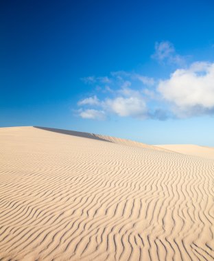 barchan dune