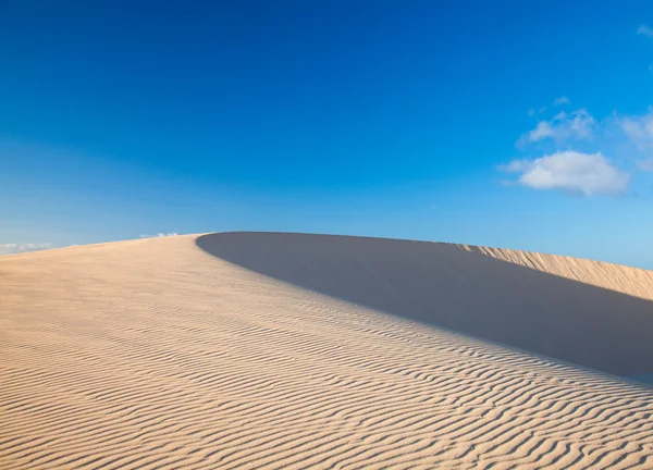 Barchan dune — Fotografia de Stock