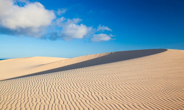 Αμμόλοφους του corralejo — Φωτογραφία Αρχείου