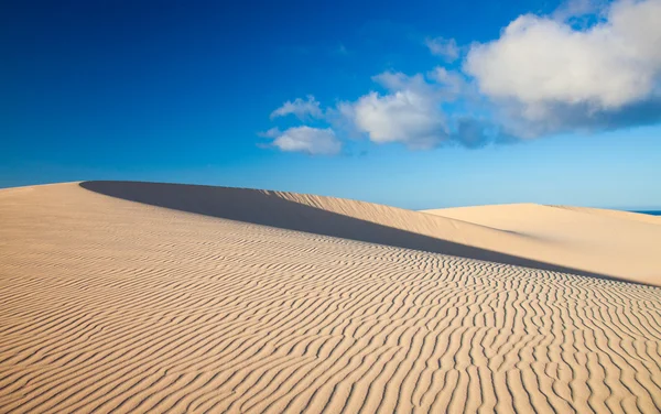 Barchan dunes — Stock Photo, Image