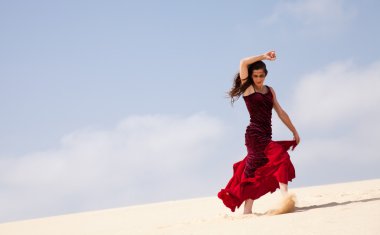 Flamenko dunes içinde