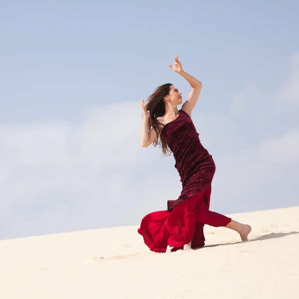 Flamenko dunes içinde — Stok fotoğraf