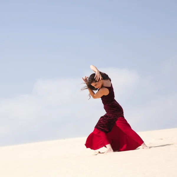 Flamenco in the dunes — Stock Photo, Image