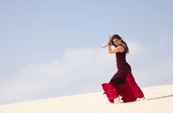 Flamenco tra le dune — Foto Stock