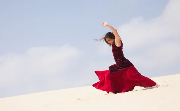 Flamenco i sanddynerna — Stockfoto