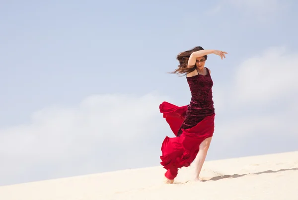 Flamenko dunes içinde — Stok fotoğraf