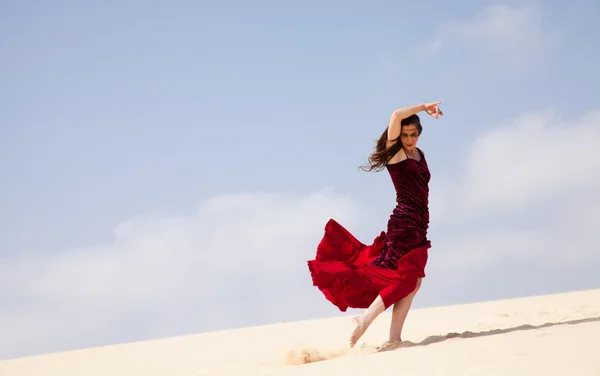 Flamenco in de duinen — Stockfoto