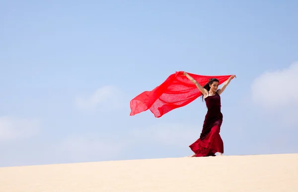 Flamenco in the dunes — Stock Photo, Image