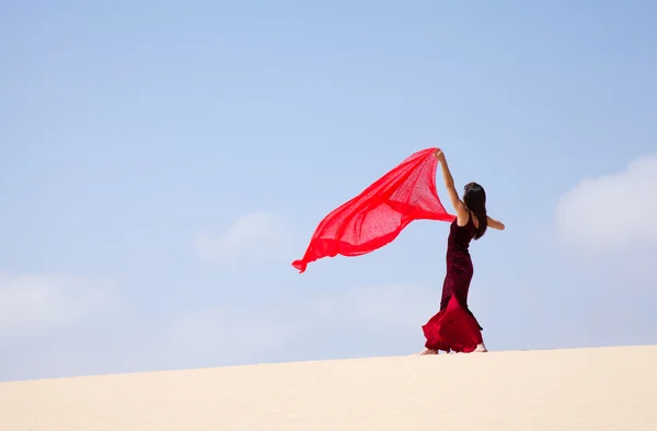 Flamenco i sanddynerna — Stockfoto