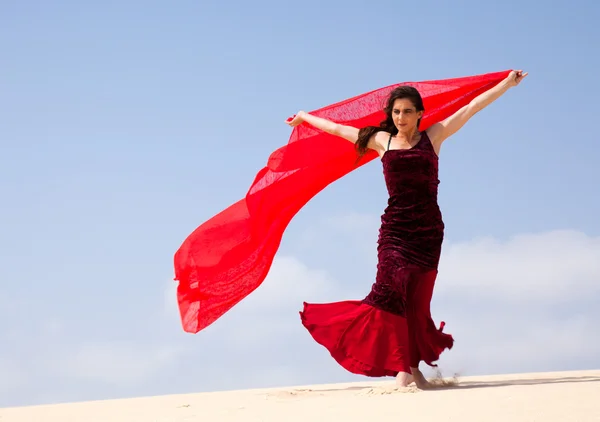 Flamenco i sanddynerna — Stockfoto