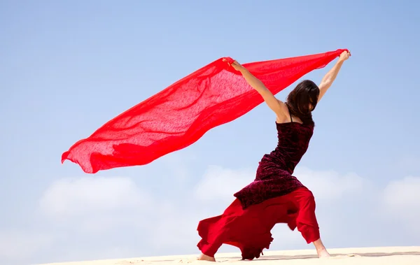 Flamenco in den Dünen — Stockfoto