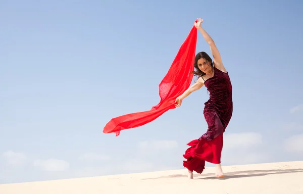 Flamenco nas dunas — Fotografia de Stock