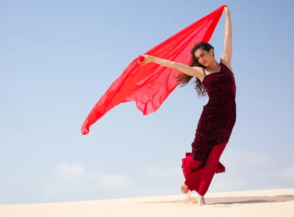 Flamenco i sanddynerna — Stockfoto