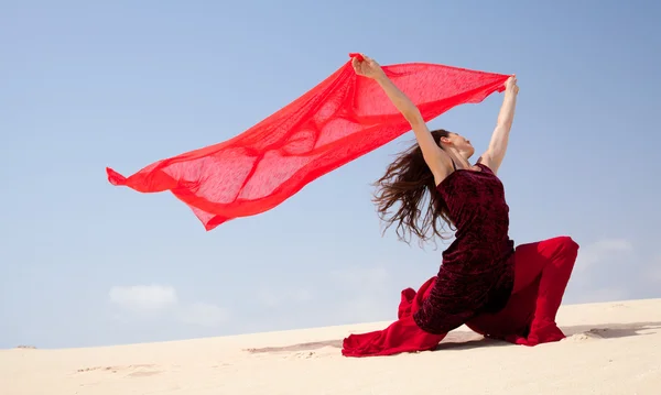 Flamenco in the dunes — Stock Photo, Image