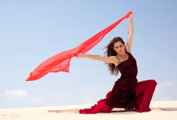 Flamenco i sanddynerna — Stockfoto