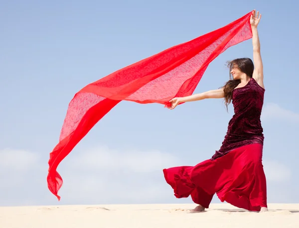 Flamenco in the dunes — Stock Photo, Image