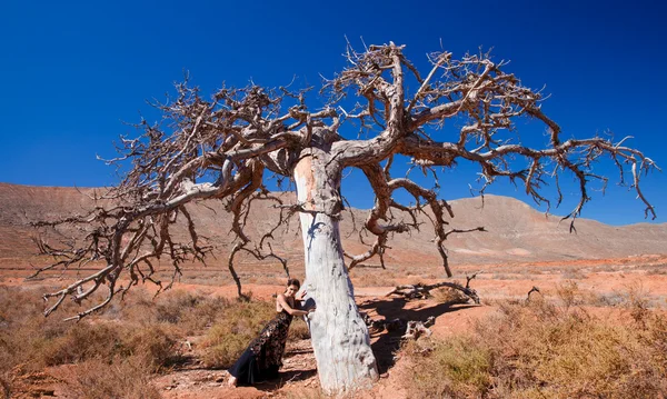 Flamenco et un arbre cher — Photo