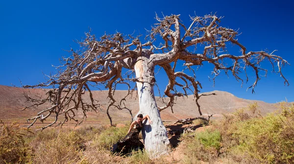 Flamenco und ein lieber Baum — Stockfoto