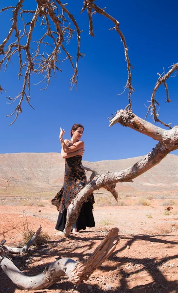 Flamenco and a dear tree — Stock Photo, Image