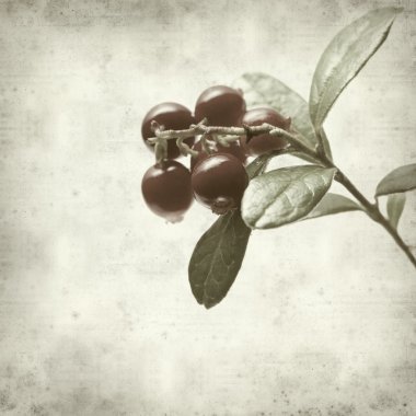 desenli eski kağıt arkaplan