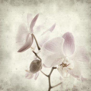 desenli eski kağıt arkaplan